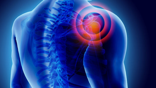 Best time to take MSM: 3D Illustration of shoulder painful. Depicts supplement MSM benefits for joint comfort.