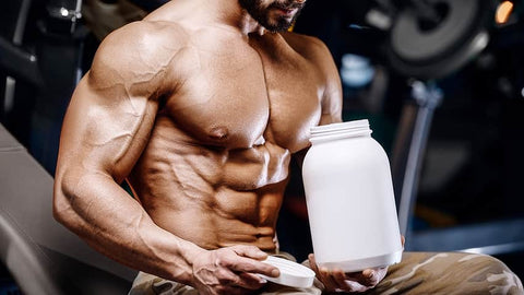 Beta-alanine and muscle recovery