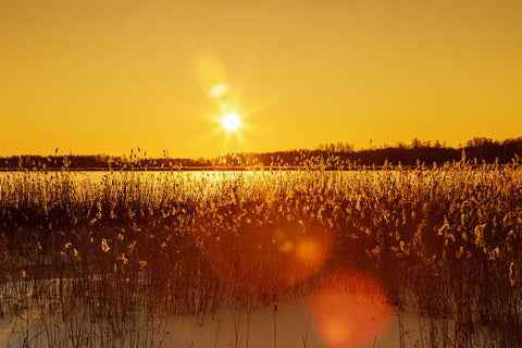 How To Get Vitamin D In The Winter: An In-Depth Guide